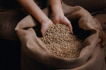 Closeup worker hold raw coffee pouring from handful in jute bag, against background of warehouse, side view - obrazy, fototapety, plakaty