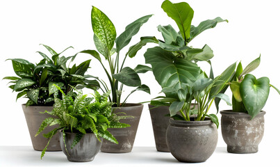 Plants with pot copy space