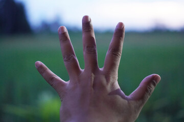 Hands on the sky background. Five fingers gesture. Nature background