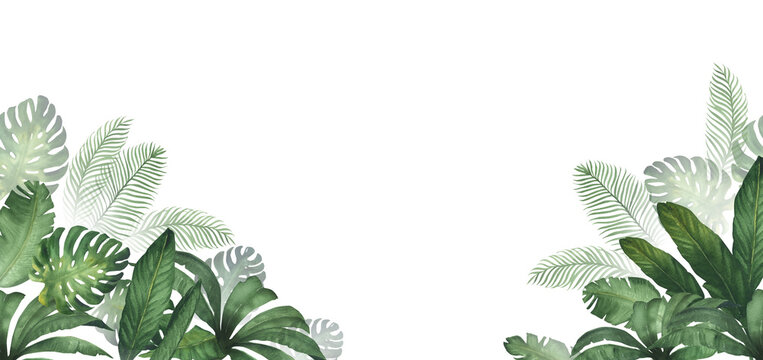 Watercolor illustration of banner or frame with a green jungle with palm leaves, monstera, watercolor texture, handmade. For decor, poster, invitation