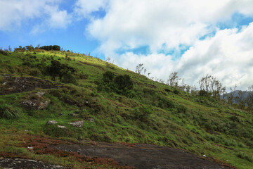 Fototapeta premium Mountain ranges kissing the blue sky, Nelliyampathy
