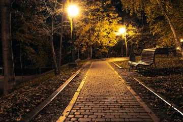 Fototapeten The teiled road in the night park with lanterns in autumn. Benches in the park during the autumn season at night. Illumination of a park road with lanterns at night. Mariinsky Park. Kyiv © decorator