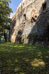 Renaissance Ducal Castle, ruins of 16th century defensive building, Zabkowice Slaskie, Poland