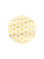 Flower of life gold symbol isolated on white background. Sacred geometry golden symbol