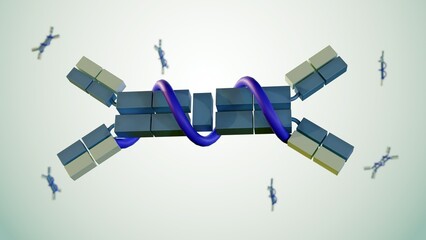 3d rendering of immunoglobulin A or IgA with secretory element as known as secretory IgA 