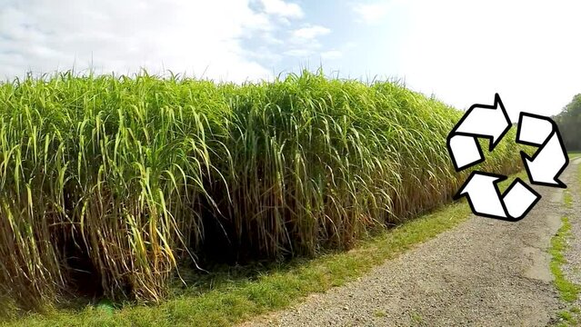 switch grass, renewable support for gas with recycling symbol
