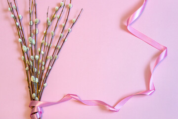 Bouquet of pussy willow branches with catkins with pink ribbon on pink pastel background. Creative...