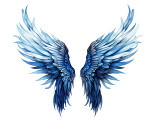 beautiful and huge angle blue wings PNG