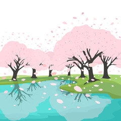 満開の桜のイラスト（背景透過）