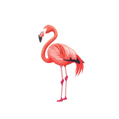 Illustrations of flamingo action logo on white background