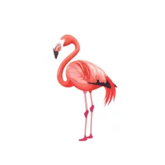 Fotobehang Illustrations of flamingo action logo on white background © visual