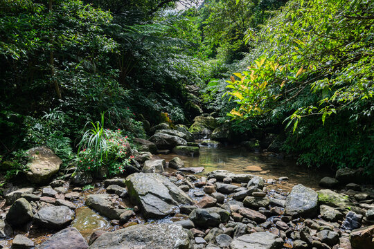 Peaceful stream and rocks on river, hidden in the trail of Nuandong Valley, in Keelung city, Taiwan.