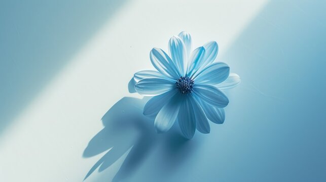 a single blue flower sitting on top of a blue table next to a shadow of a person's hand.