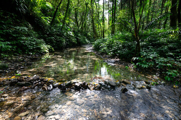 Sunshine on the cold clean water, stream from the deep forest with many green plants, in Shuang-xi, New Taipei City, Taiwan.