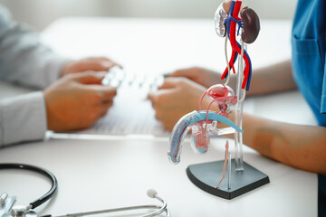 Meeting appointment, Prostate cancer, sexual dysfunction, In a clinic room, female doctor conducts...