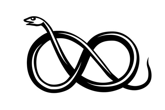 Simple illustration of snake with vertical infinity sign body, ouroboros. Symbol, sign, black, icon, silhouette, tattoo, ornament.