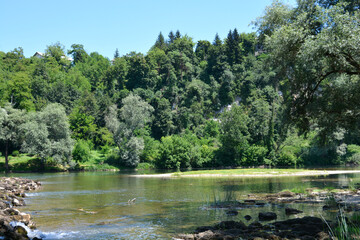 Detail of river Kupa near Orljakovo in Croatia
