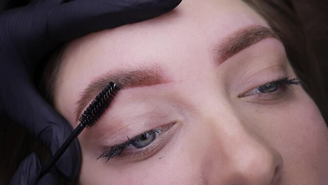 A close-up of a girl's eyebrows after permanent makeup procedure, a master brushes eyebrow hairs with a brush. Permanent makeup procedure, performing PMU of eyebrows