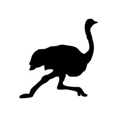 silhouette of a standing ostrich