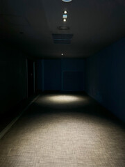 A long, narrow corridor with gray carpeting. The hallway is illuminated by a series of lights on...