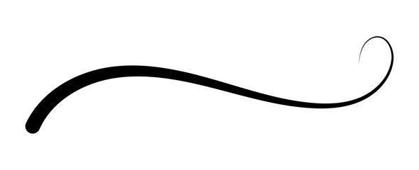 Swoosh and swoops underline typography tail shape. Brush drawn thick curved smear. Hand drawn curly swish, swash, squiggle, twiddle. transparent calligraphy doodle swirl.