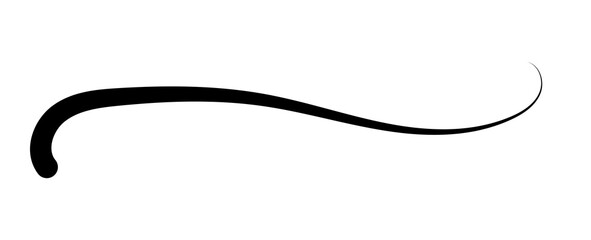 Swoosh and swoops underline typography tail shape. Brush drawn thick curved smear. Hand drawn curly swish, swash, squiggle, twiddle. transparent calligraphy doodle swirl.