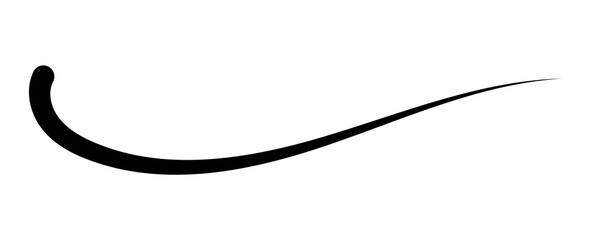 Swoosh and swoops underline typography tail shape. Brush drawn thick curved smear. Hand drawn curly swish, swash, squiggle, twiddle. transparent calligraphy doodle swirl.