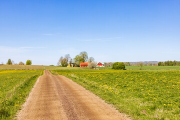 Fototapeta na wymiar Dirt road in a beautiful rural landscape at springtime