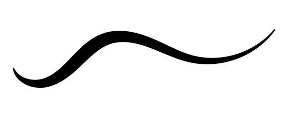 Typographic swash and swooshes tails. Underlined text swoops tails. Underlines hand drawn stroke. Retro swishes and swashes for calligraphy, logos, squiggle, font. transparent stroke brush.