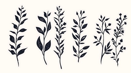 Minimal feminine botanical floral branch in silhouette style. Hand drawn wedding herb, minimalistic flowers with elegant leaves. Botanical rustic trendy greenery. Generative Ai