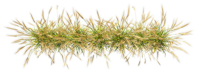 Aerial view savanna flowery grass farmland for landscape on transparent backgrounds 3d illustrations png © Krit