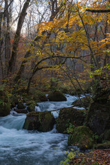 日本　青森県十和田市、十和田湖の子ノ口から焼山まで続く奥入瀬渓流の飛金の流れと紅葉