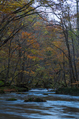 日本　青森県十和田市、十和田湖の子ノ口から焼山まで続く奥入瀬渓流の石ヶ戸の瀬と紅葉