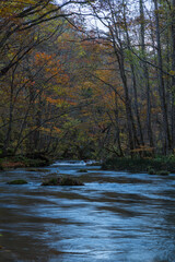 日本　青森県十和田市、十和田湖の子ノ口から焼山まで続く奥入瀬渓流の石ヶ戸の瀬と紅葉