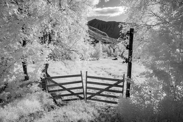A tranquil infrared scene with a rustic gate, surrounded by ghostly trees in a mountainous region under a clear sky.