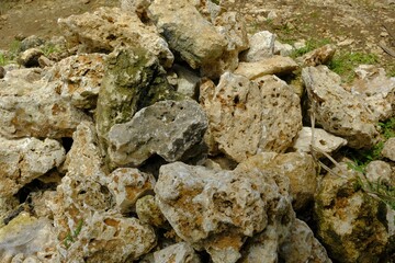 Pile of dead coral for nature background. Batu karang di pantai