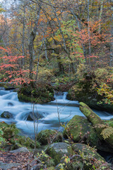 日本　青森県十和田市、十和田湖の子ノ口から焼山まで続く奥入瀬渓流の石ヶ戸の瀬と紅葉