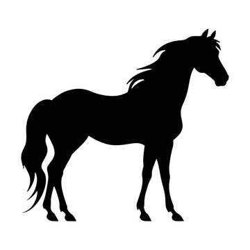 Silhouette of a horse, running horse icon logotype design silhouette, vector illustration