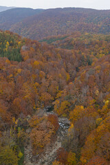 Fototapeta premium 日本 青森県青森市の十和田八幡平国立公園内にある城ヶ倉大橋から見える城ヶ倉渓流の紅葉