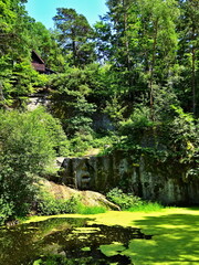 Czechia - view of the flooded former quarry near the town of Lipnice nad Sázavou