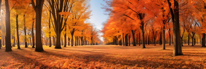 Papier Peint photo Brique Scenic Autumn Landscape: Vibrant Fall Trees Creating a Serene, Natural Canopy of Colors