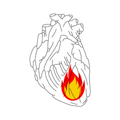 Fire in heart. Flame in an anatomical heart. Concept burning heart symbol of hope