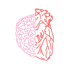 Half brain and half heart. Combine feelings and reason. - 748647504