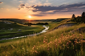 Spring clear natural landscape with flowers, geer grass, flower background, herb land wallpaper
