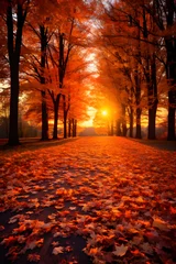 Crédence de cuisine en verre imprimé Rouge 2 Scenic Autumn Landscape: Vibrant Fall Trees Creating a Serene, Natural Canopy of Colors
