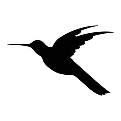 Obraz premium hummingbird in flight, hummingbird silhouette, cute hummingbird vector illustration