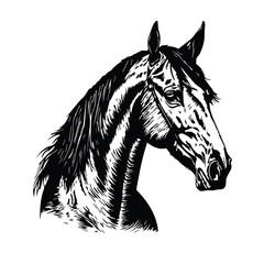 Horse silhouette animal black horses graphic vector illustration