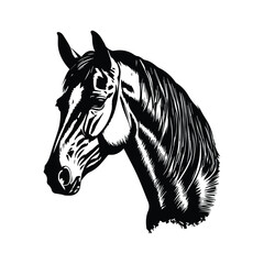 Horse silhouette animal black horses graphic vector illustration