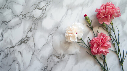 Carnation flowers on a marble background.