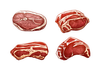 Hand-drawn colored sketches of pieces of meat, pork or beef steak, chop meat, bacon, piece of meat cuts, vector illustration. Raw meat. Vintage illustration. Decorations for menu of cafes.